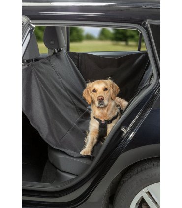 Protege y asegura el asiento trasero del coche para tu perro