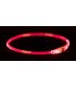 Collar de Aro Flash USB, luminoso y resistente al agua
