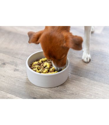 Snacks líquidos veganos: sabor, aceptación y recompensa