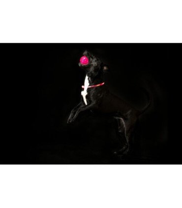 Pelota con luz