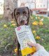 Queso en Triángulos con Frutas y Verduras | Calidad Premium