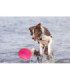 Frisbee durable para perros y agua