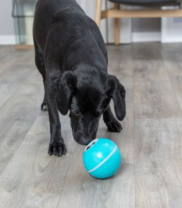 Pelota Snacks con diseño desmontable y silencioso