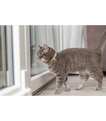 Correa para gatos ajustable, comodidad y seguridad