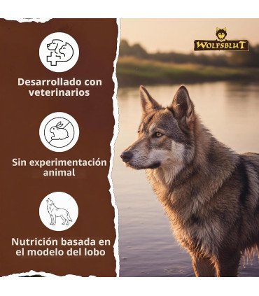 Pienso monoproteico con carne de caballo y boniato