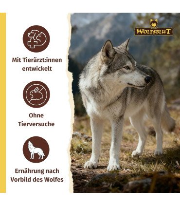 Croqueta Wolfsblut VetLine Hypoallergenic