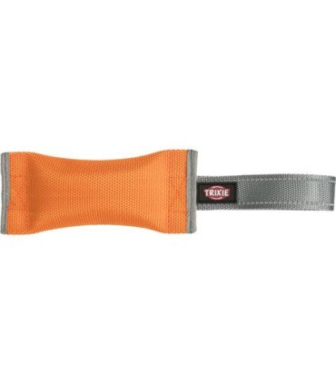 Mordedor Entrenamiento