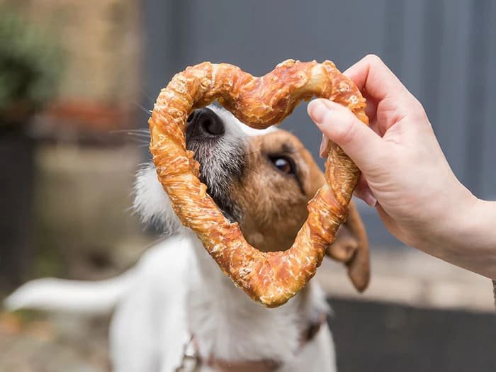 Premios y snacks para perros