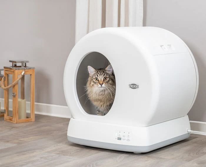 Bandejas cubiertas para gatos