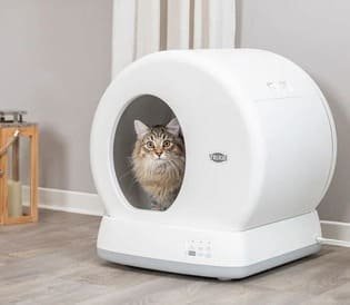 Bandejas cubiertas para gatos