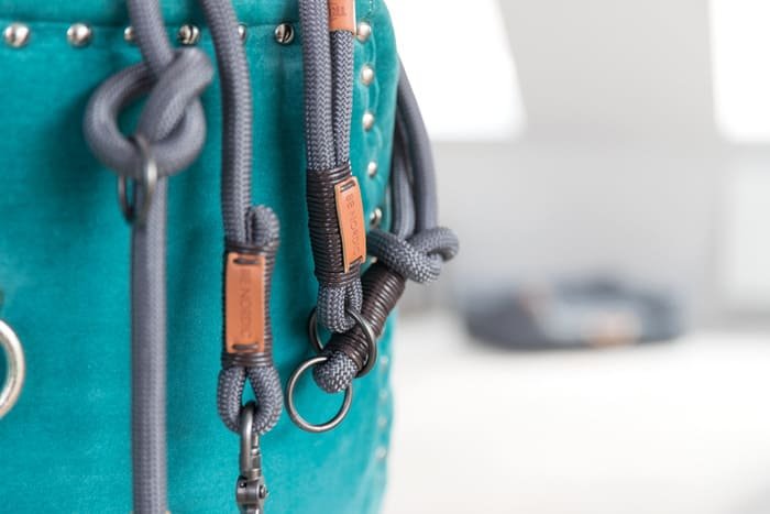 Colección BE NORDIC para perros