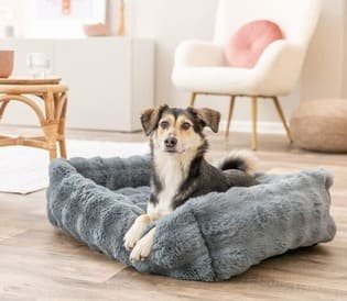 Camas para perros