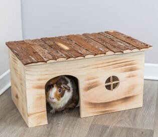 Casitas para roedores