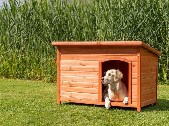 Casetas para perros