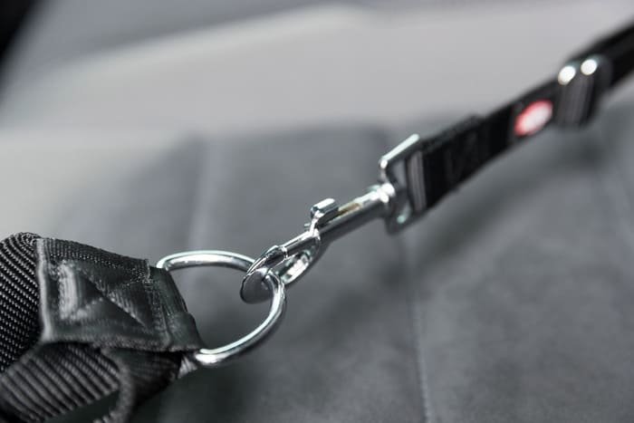Cinturones de seguridad para perros