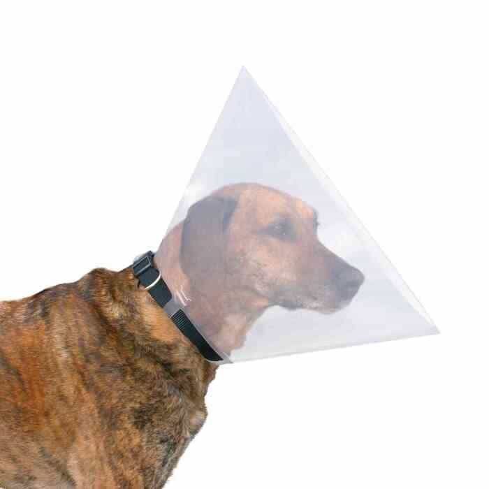 Collares veterinarios para perros