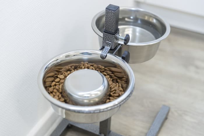 Comederos de acero inoxidable para perros