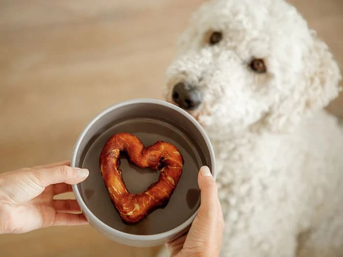 Comederos y bebederos para perros