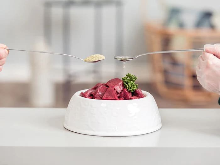 Comida húmeda para perros