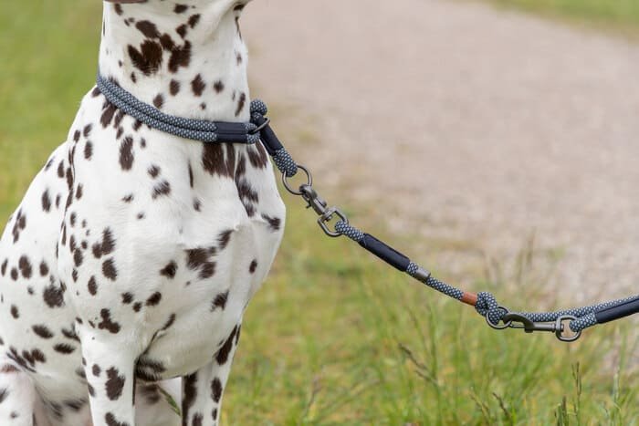 Colección Soft Rope de collares y correas para perros