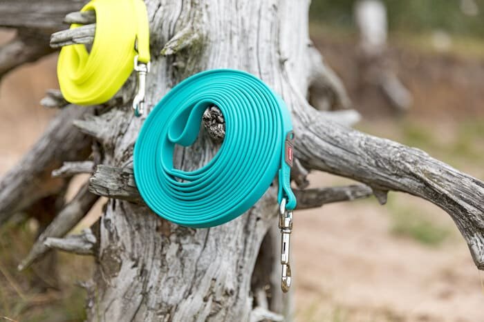 Correas de rastreo para perros