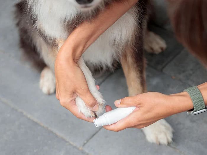 Cortaúñas para perros