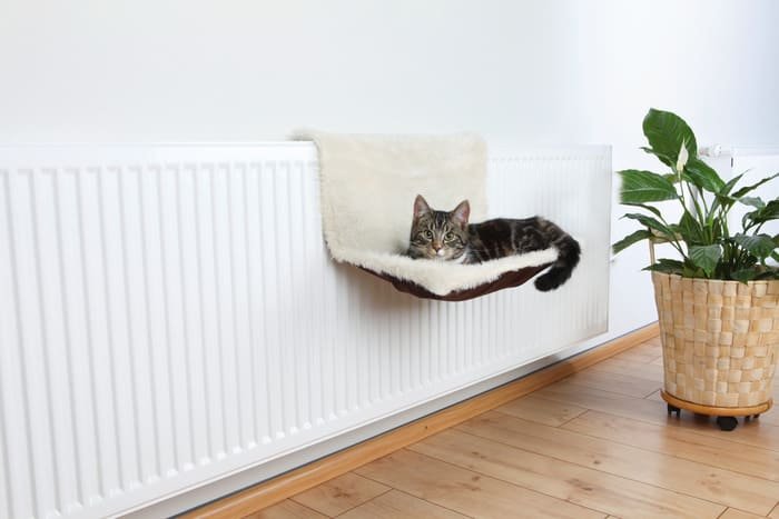 Hamacas para gatos