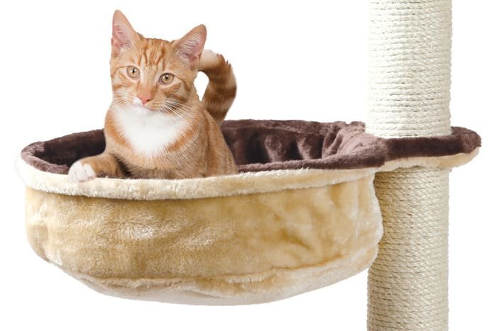 Hamacas para rascadores para gatos