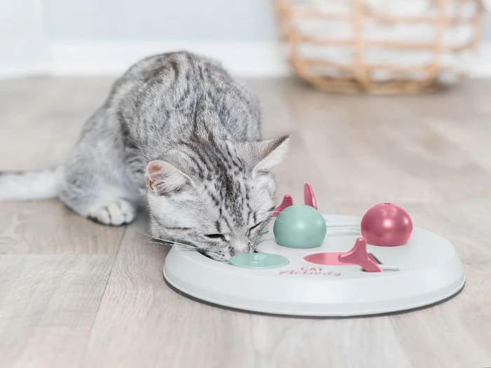Juegos interactivos para gatos