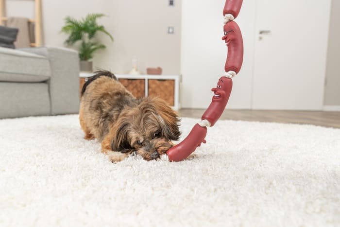 Juguetes de látex y vinilo para perros