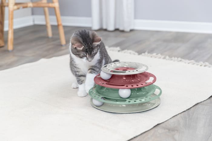 Juguetes para gatos
