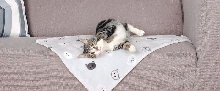 Mantas para gatos