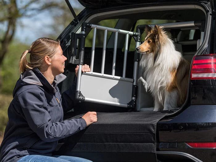 Viaje y transporte para perros