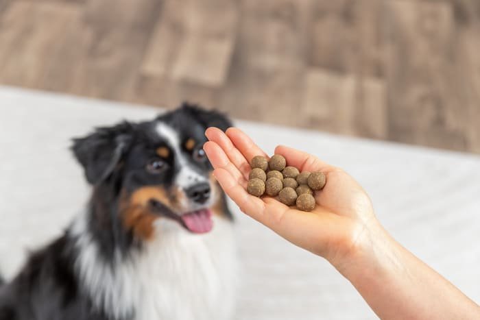 Premios en botes para perros