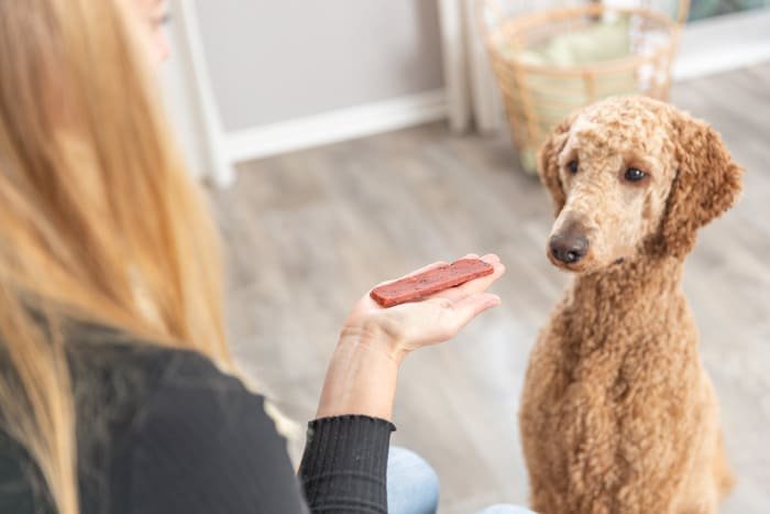 Premios de ternera para perros