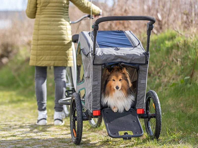Accesorios para ir en bicicleta con perros