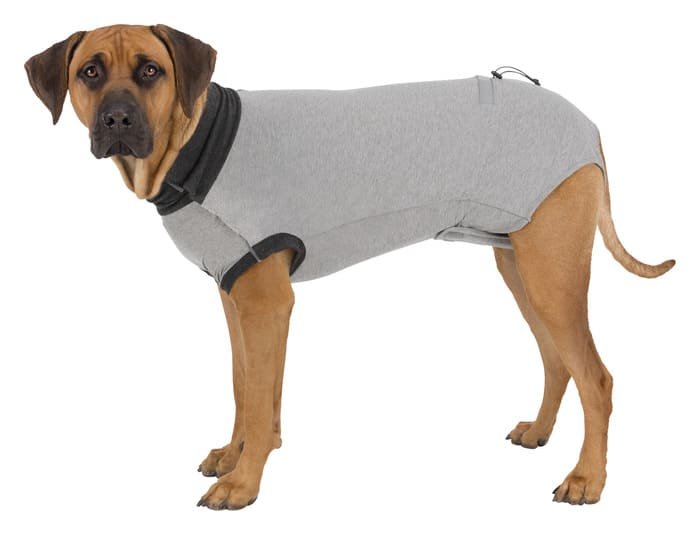 Protectores corporales para perros