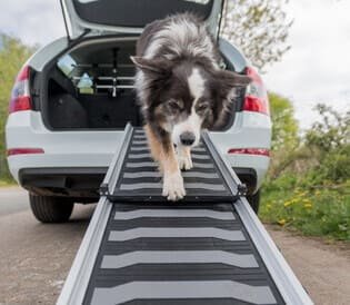 Rampas para perros