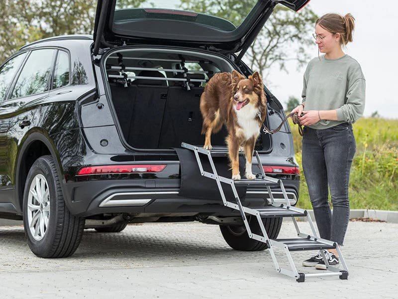 Rampas y escaleras para perros