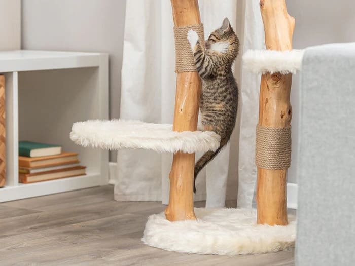 Rascadores para gatos