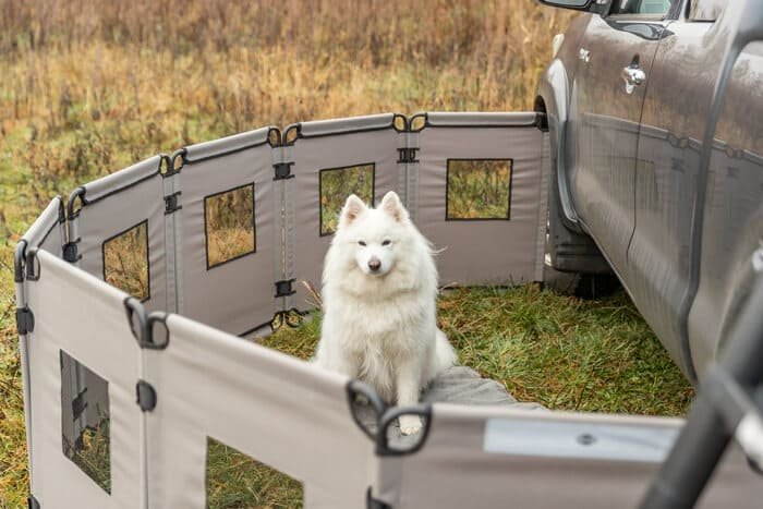 Recintos para perros