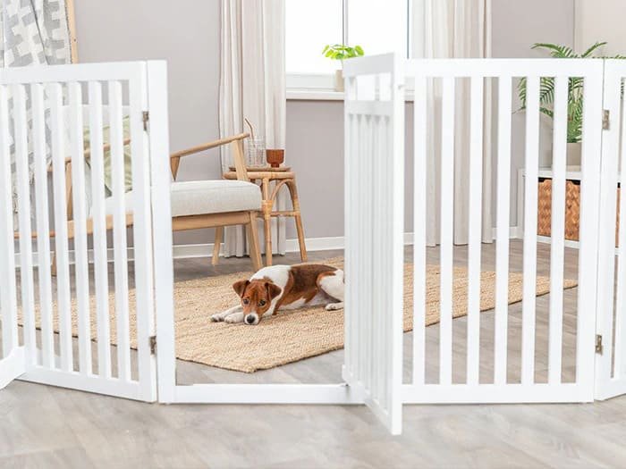 Seguridad para perros