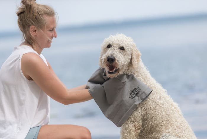 Toallas para perros