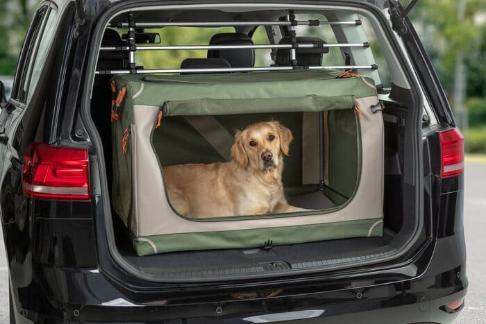 Transportines para perros