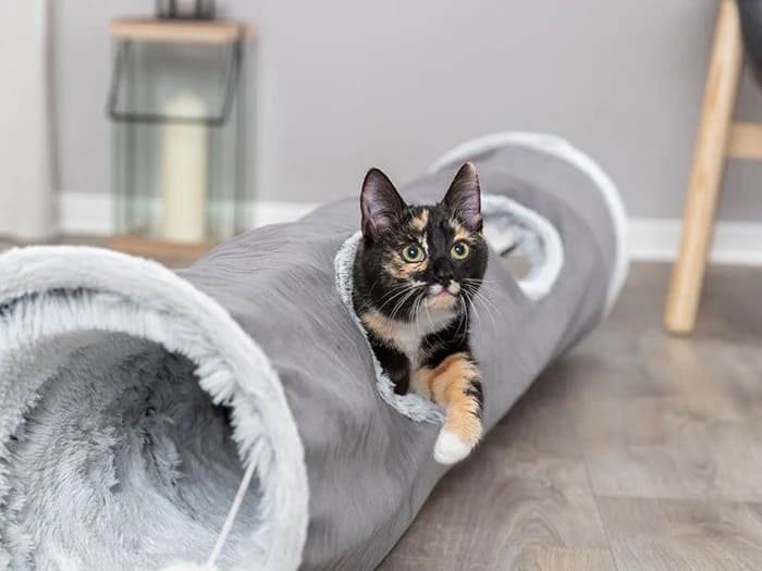Túneles para jugar para gatos