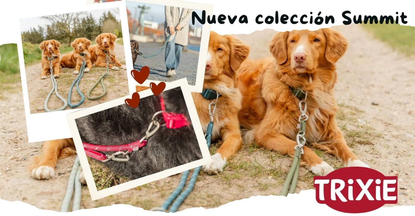 Nuevas correas Summit