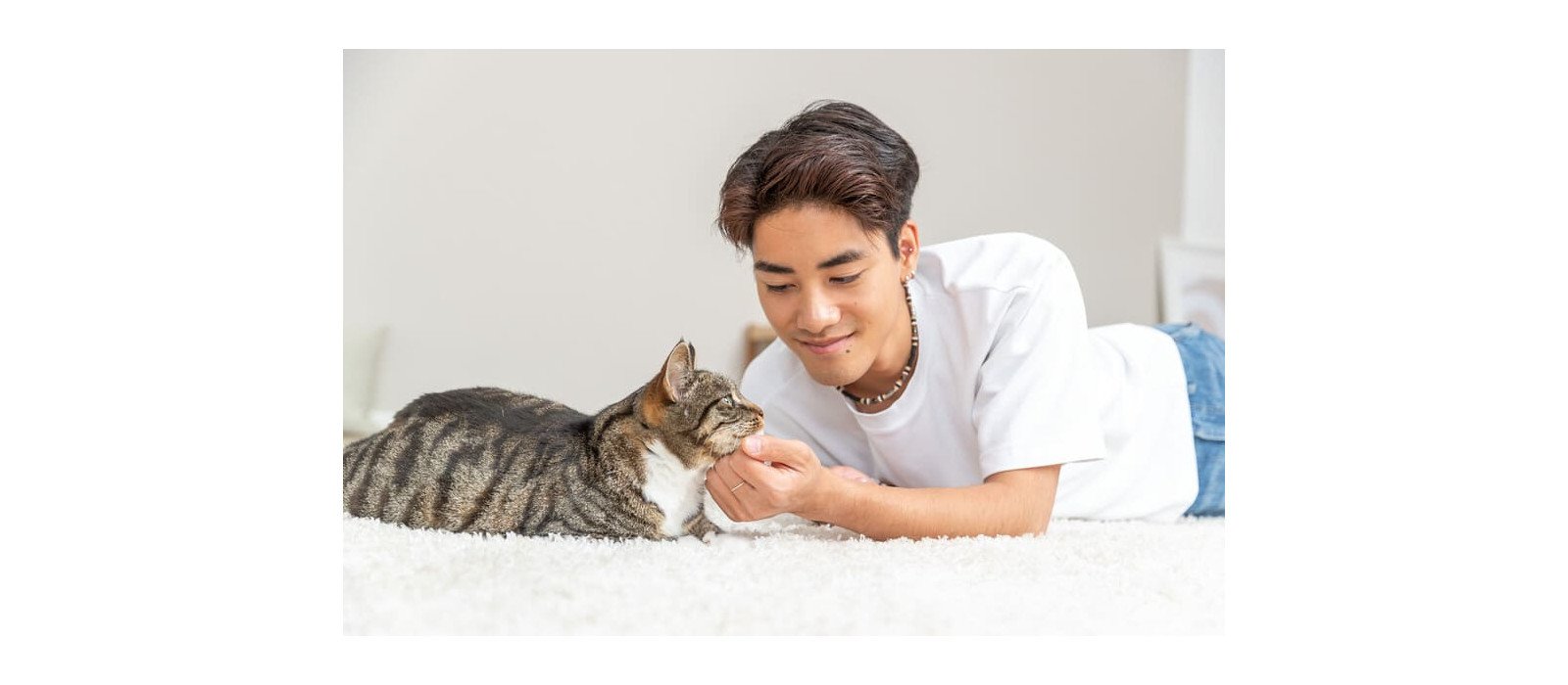 ¿Porqué vomita mi gato? Bolas de pelo, alimentación y otras causas
