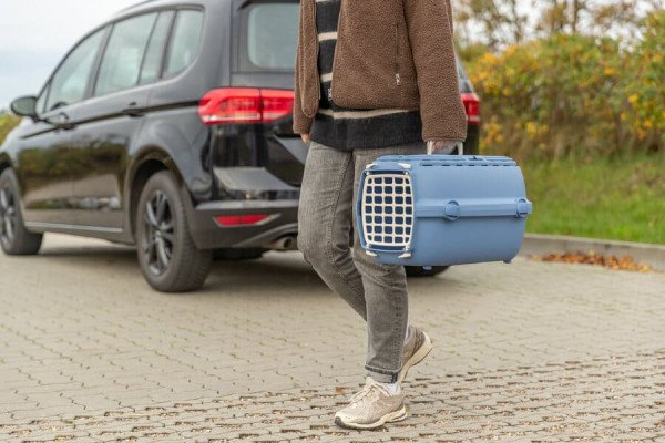 Transportín homologado para avión:  cómo elegir el adecuado