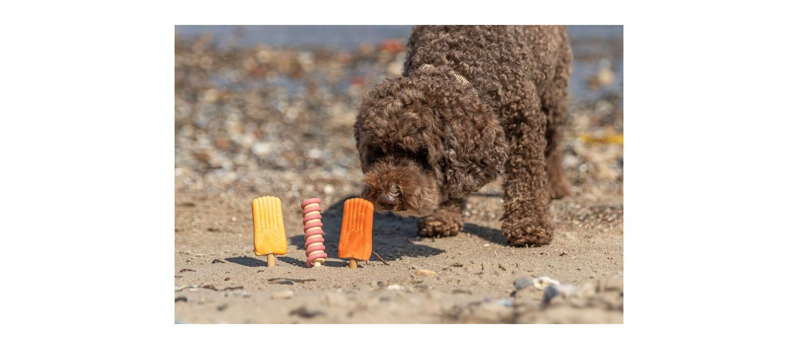 Helados caseros para perros: 4 recetas saludables 