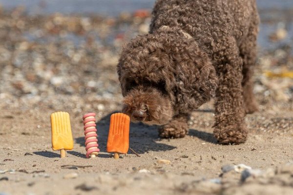 Helados caseros para perros: 4 recetas saludables 